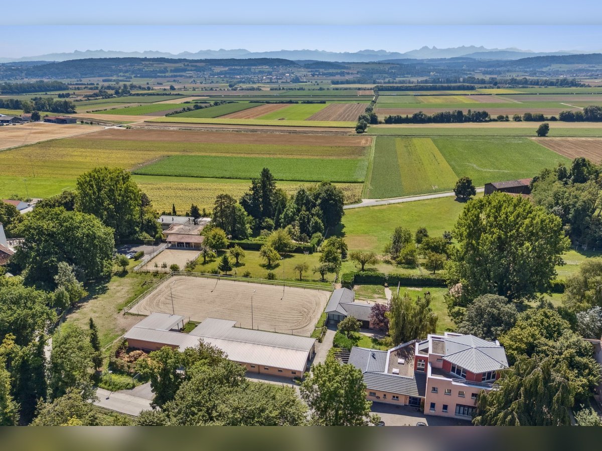 Idyllische Pferdesportanlage zu vermieten