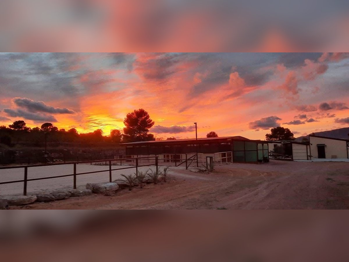 IDYLLISCHE WESTERNRANCH MIT TOURISMUS LIZENS AN DER COSTA BLANCA
