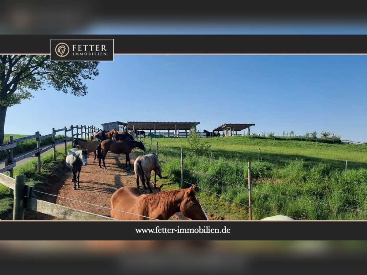 Reitanlage in Rheinland-Pfalz – moderner Aktivstall im Donnersbergkreis!