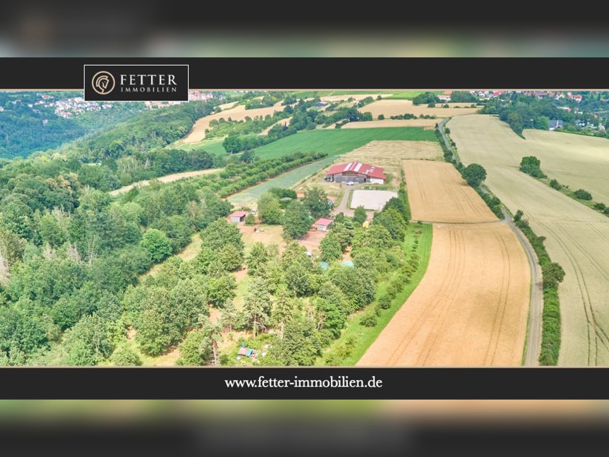 Reitanlage mit Panoramablick in Battenberg (Pfalz) – Einmalige Alleinlage !