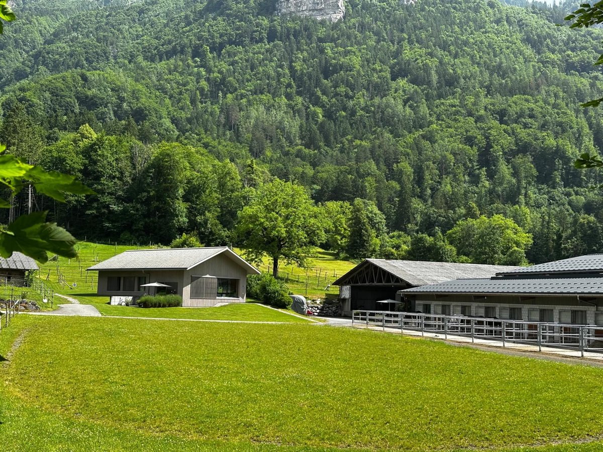 Reitsportanlage für den professionellen Bedarf in der Schweiz