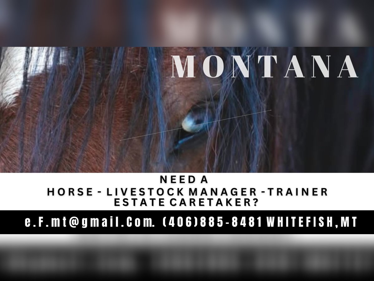 Seeking Horse Ranch Position / Opportunity in Montana Seeking Horse Ranch Position / Opportunity in Montana