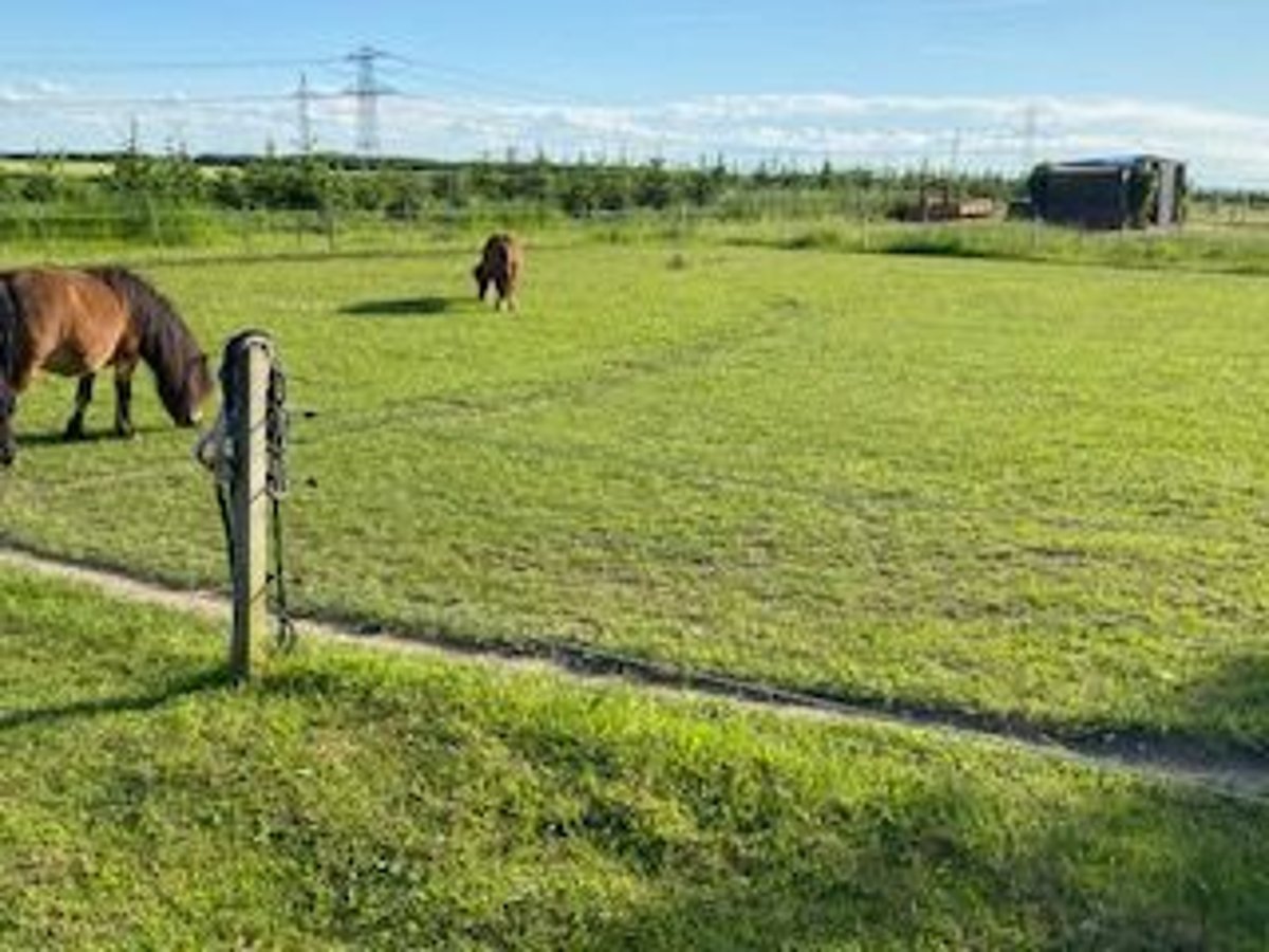 Offenstall : bezugsferige Anlage