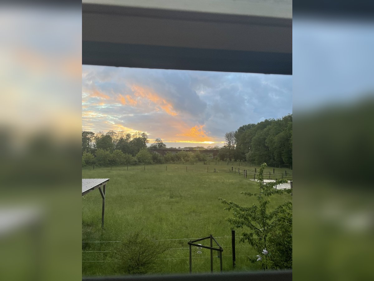 Offenstall in Hünxe/ Drevenack
