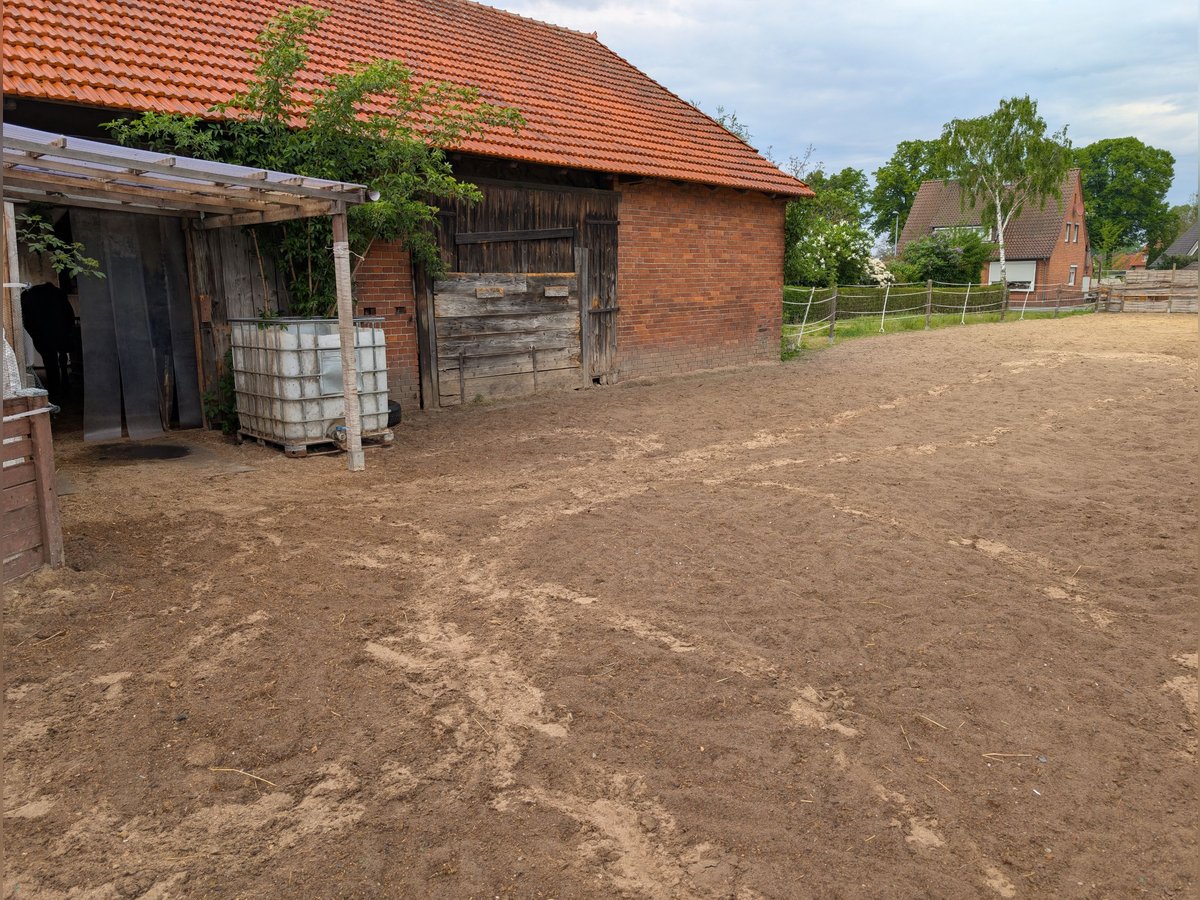 Platz frei in Hämelhausen