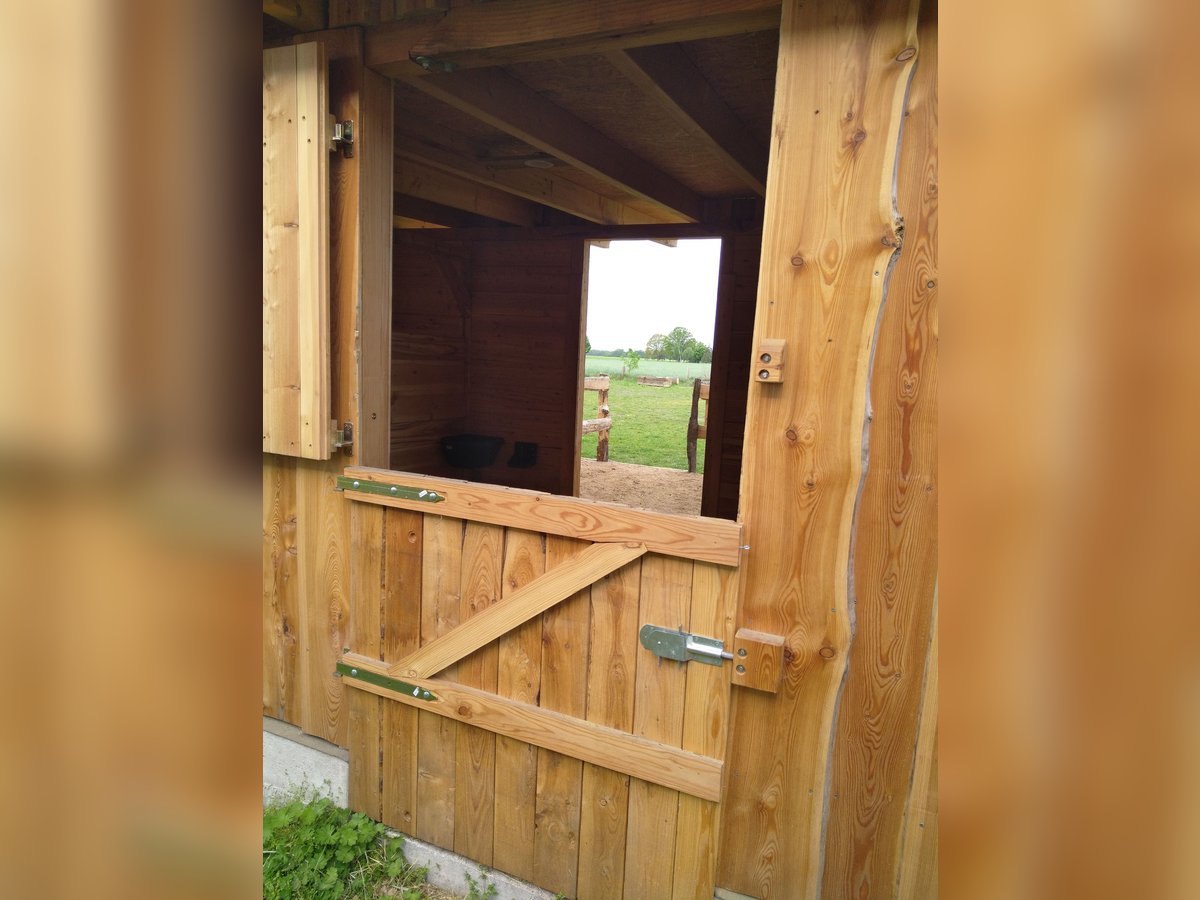 Paddockbox in priv. Stall, 