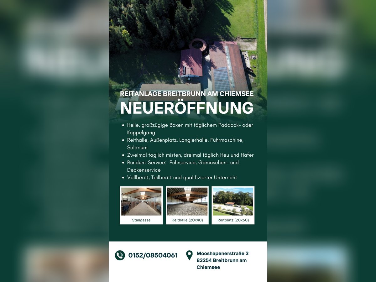 Paddockbox und Fensterbox frei Paddockbox und Fensterbox frei