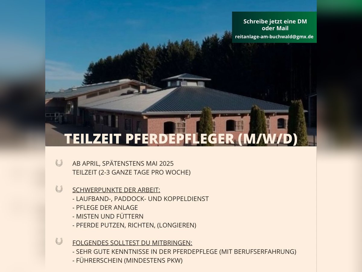 Ab März: Teilzeit Stallhilfe/Pferdepfleger (m/w/d)