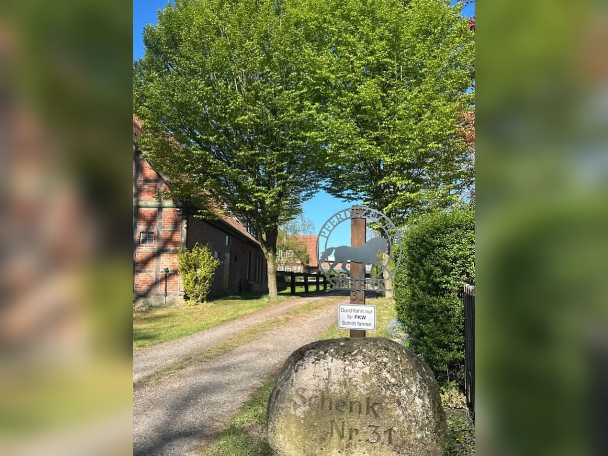 Mitarbeiter(in) Mitarbeiter(in)