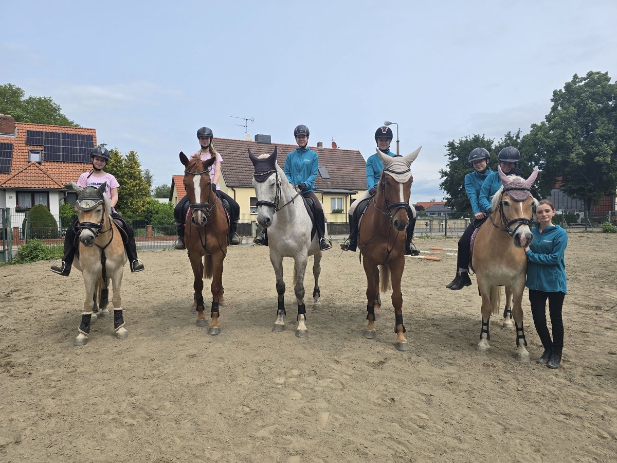 Suchen Reitlehrer/in für bis zu 20Std/Wo in besonderem Verein in HBS!