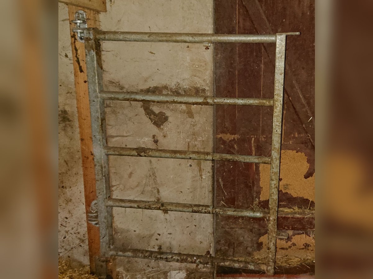 leichtes Tor von Patura