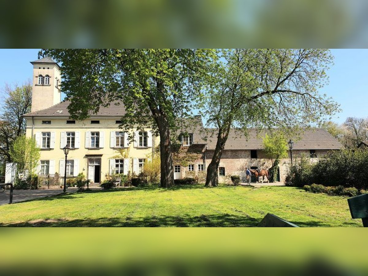 FREIBERUFLICHER SPRINGLEHRER (M/W/D) GESUCHT