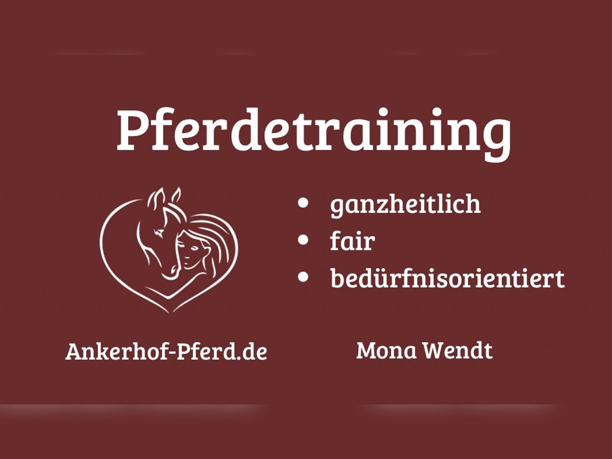 Pferdetraining individuell und ganzheitlich 
