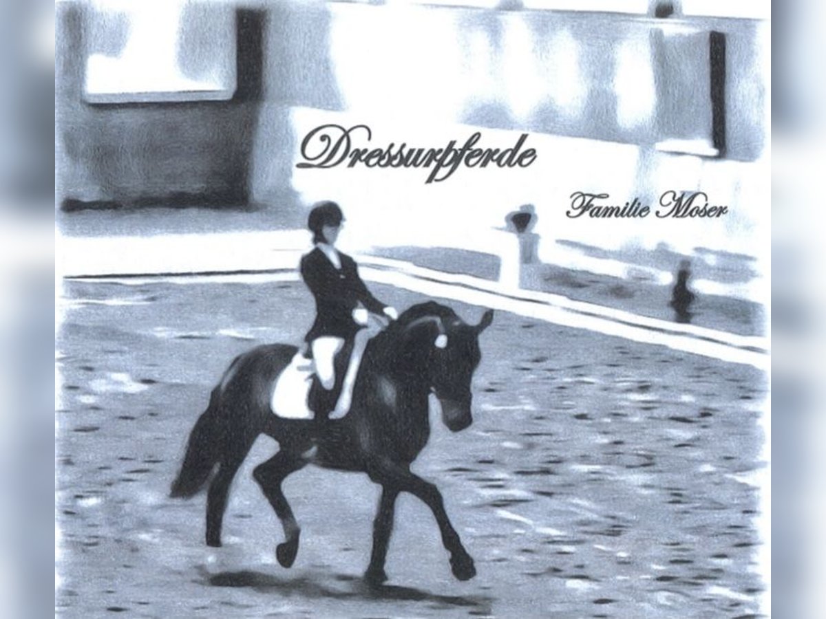 Wir haben ab Mitte September einen freien Berittplatz!