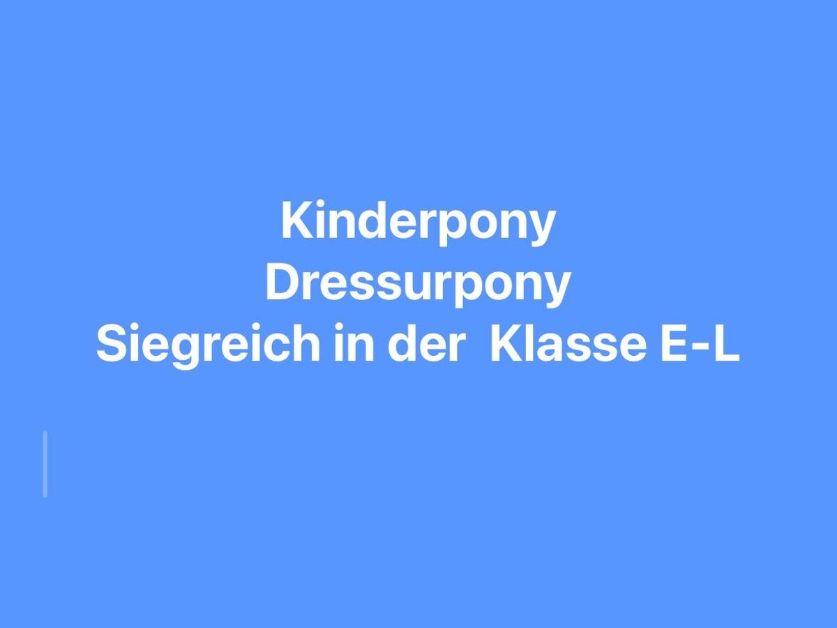 Deutsches Reitpony Stute 10 Jahre 148 cm in Duisburg Deutsches Reitpony Stute 10 Jahre 148 cm in Duisburg