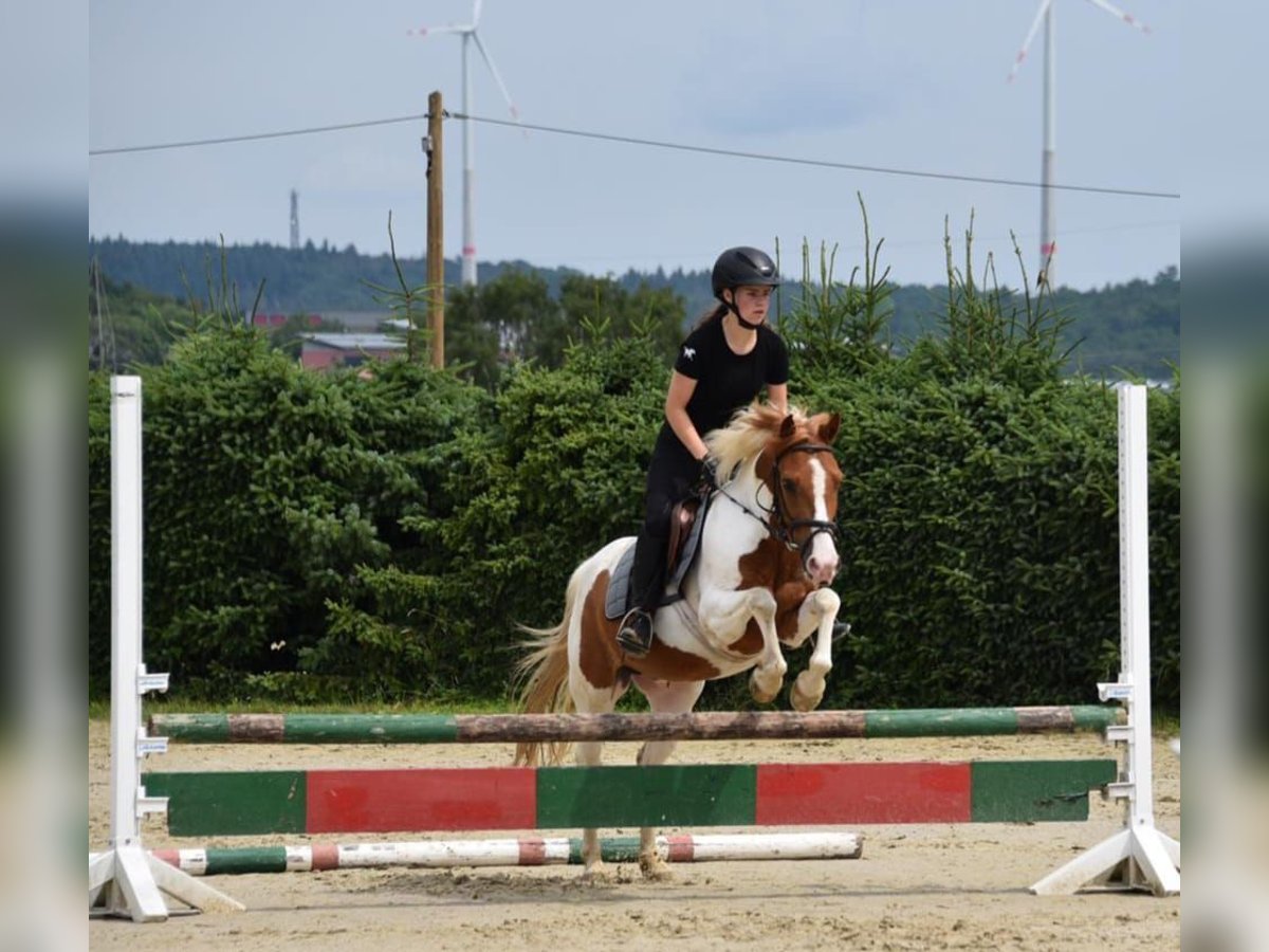 Duitse rijpony Mix Ruin 13 Jaar 135 cm Gevlekt-paard in Hünstetten