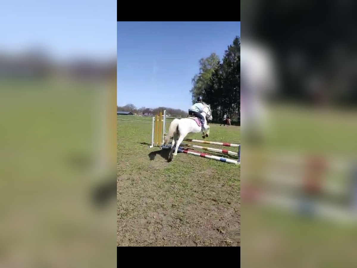 Emilie 13 Jahre such Pferd/pony Emilie 13 Jahre such Pferd/pony