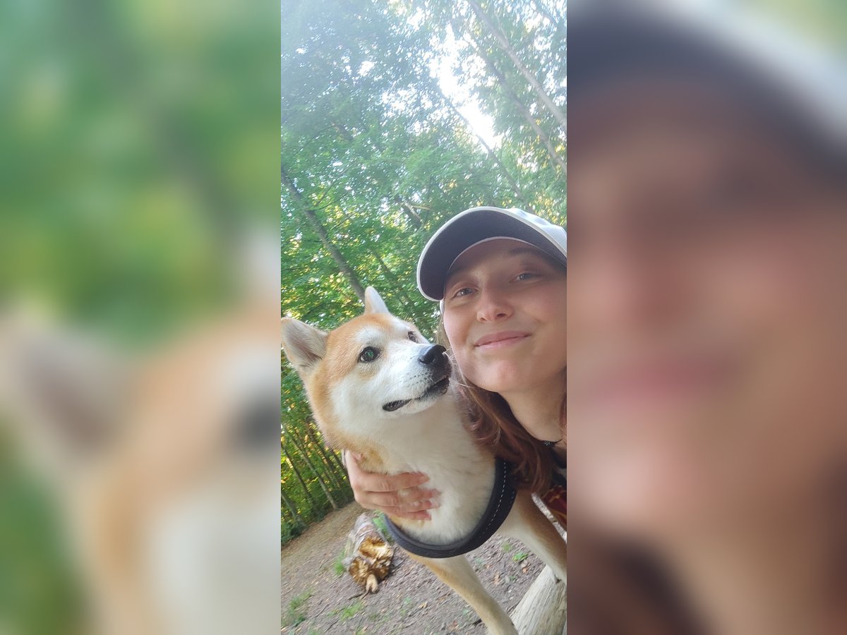 Freizeit-Reitbeteiligung gesucht (3x Monat)