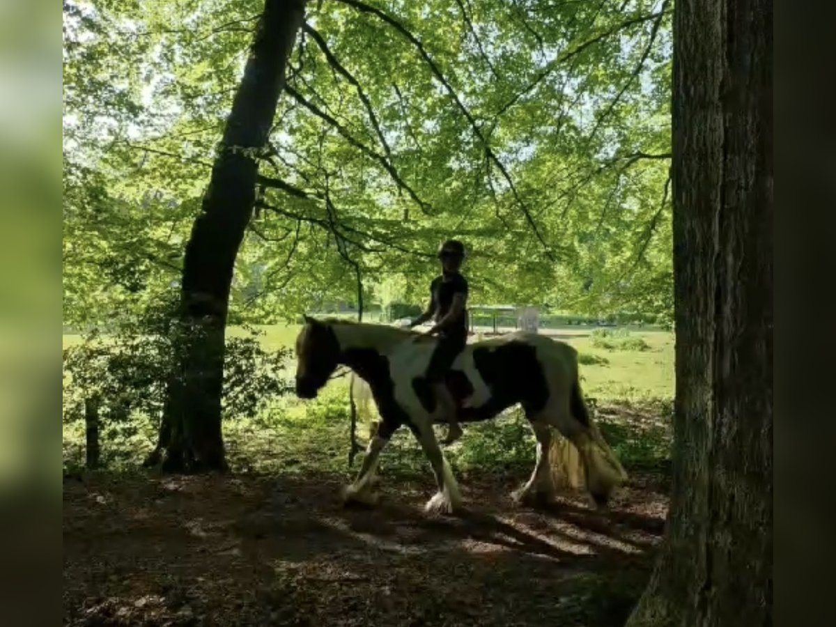 Hallo, mein Name ist Mia und ich suche ein Liebevolles Pferd für die Freizeit. (Reiter sucht Pferd) 