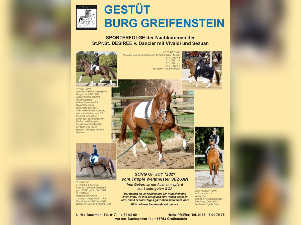 Hanovrien Étalon 4 Ans 176 cm Alezan in Greifenstein