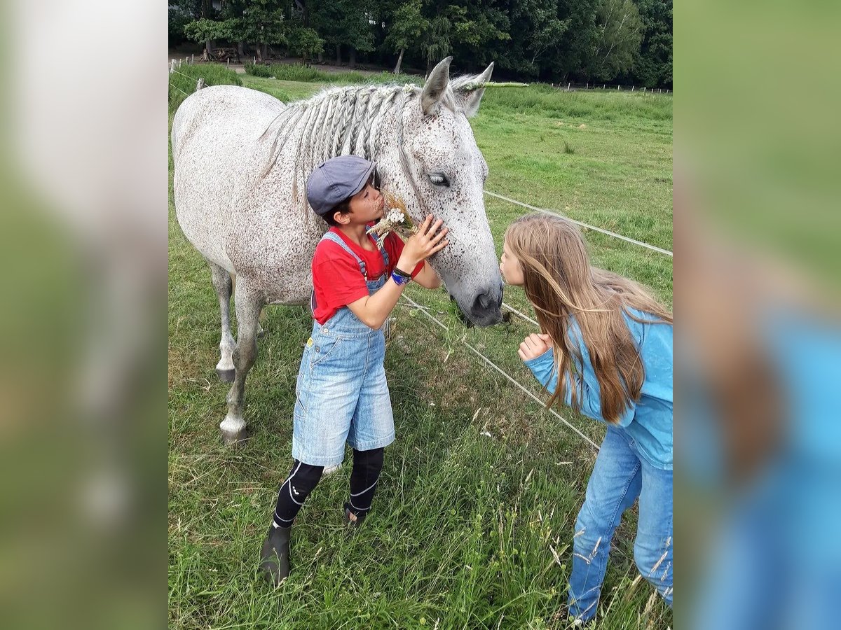 Reittherapie für Kinder und Erwachsene