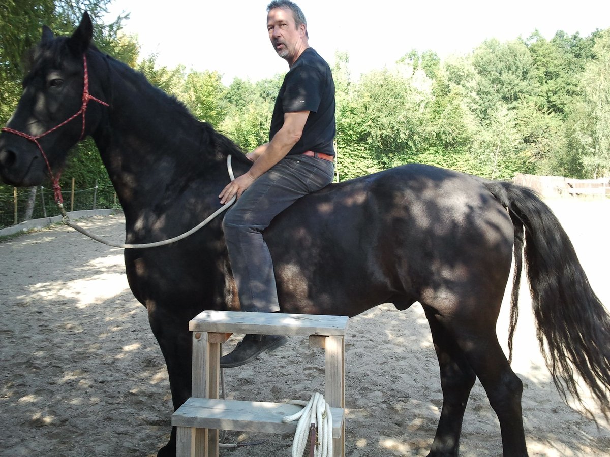 Minimal Horsemanship – Der einfachere Weg zum Pferd