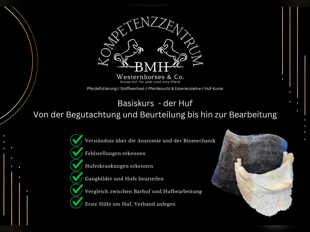 Workshop, Hufkurs, Hufbearbeitung, Basiskurs. Letzte Chance %