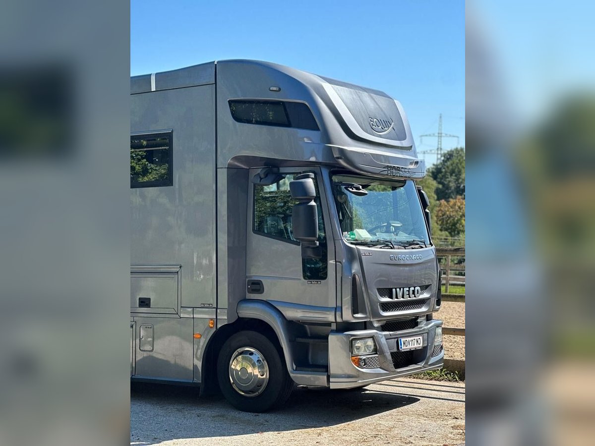 IVECO Equix 4 Pferdetransporter