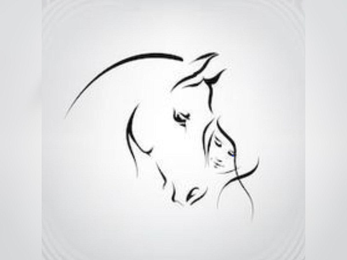 Ihr Pferd in besten Händen Ihr Pferd in besten Händen