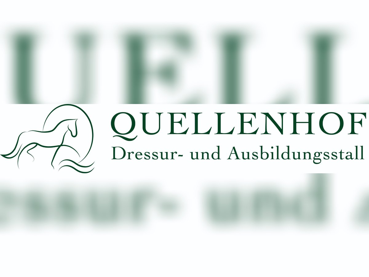 Vollberitt Dressur/  Anreiten - S***