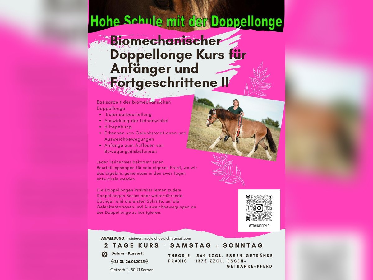 Doppellonge Kurs 25.01. 26.01.2025 in Kerpen 