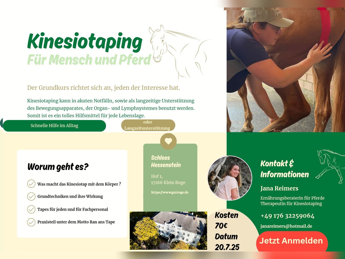 Kinesiotapingkurs für Mensch und Pferd Kinesiotapingkurs für Mensch und Pferd