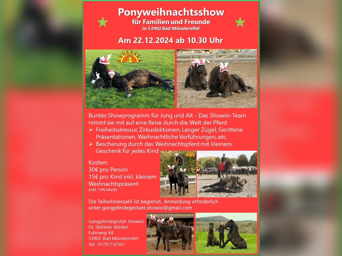 Ponyweihnachtsshow für Jung und Alt