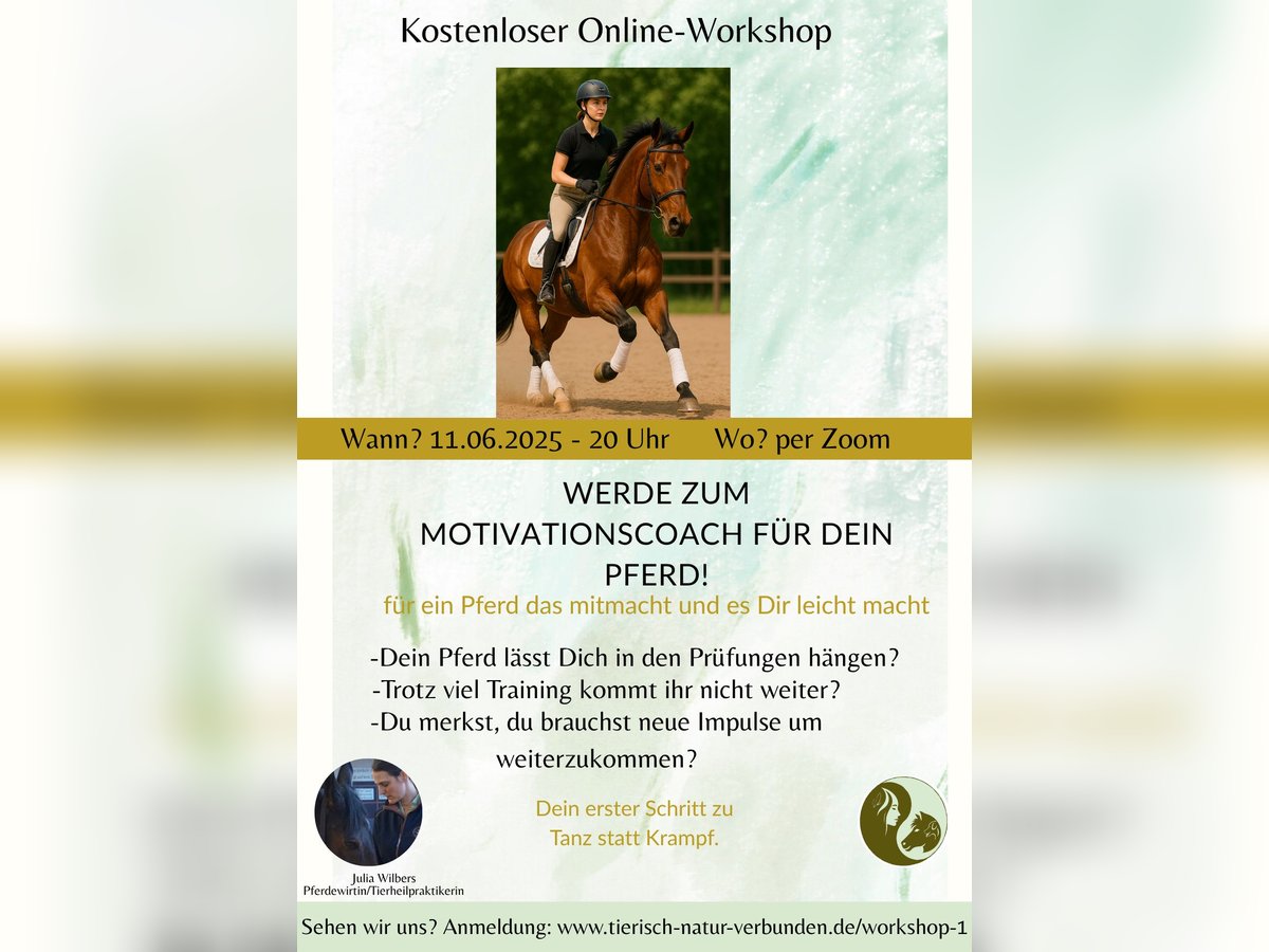 Werde zum Motivationscoach für dein Pferd! Werde zum Motivationscoach für dein Pferd!