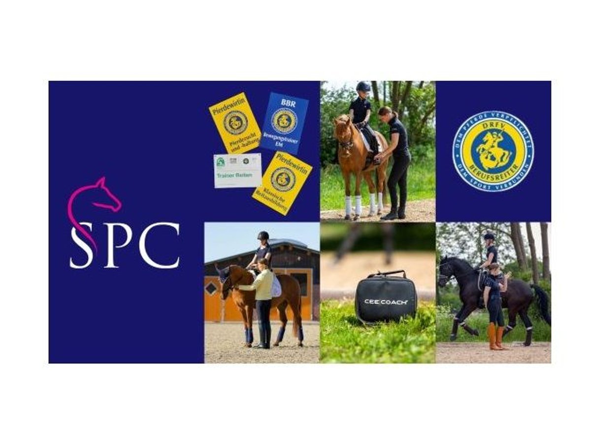 Dressurunterricht Kl. E-S * Trainingstage * Sitzschulung * EM Bewegungstraining * Neuroathletik *