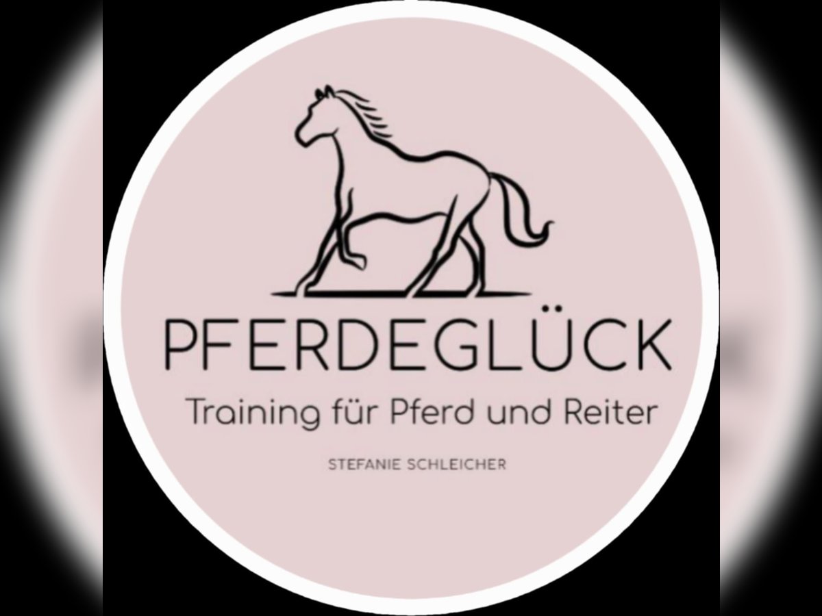 Individuelles Pferdetraining vor Ort Individuelles Pferdetraining vor Ort