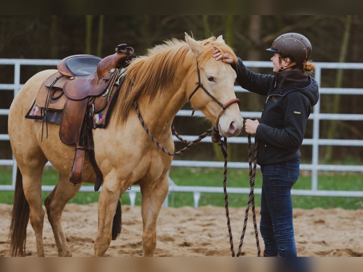 Potentialentfaltung für Mensch & Pferd