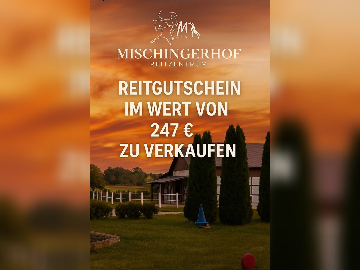 Reitgutschein für Mischingerhof Reitgutschein für Mischingerhof