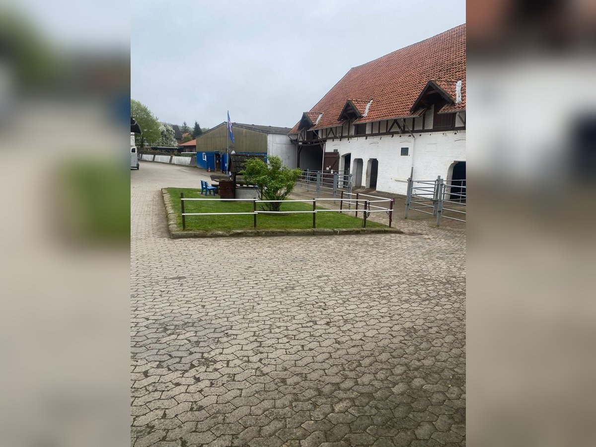 384-25 Reiterhof mit ***Hotel und Pferde-Pensionsbetrieb in Niedersachsen