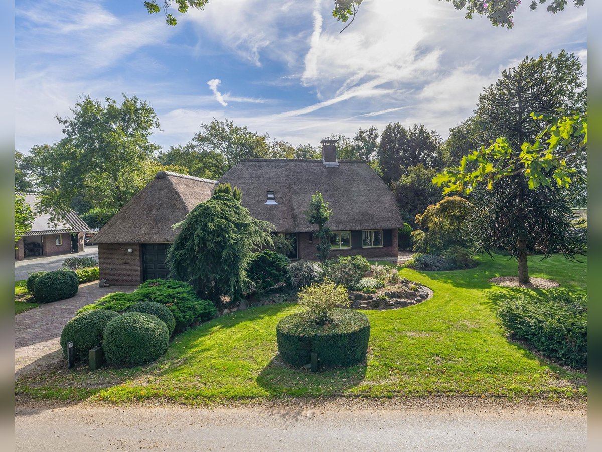 Amazing location for horselovers