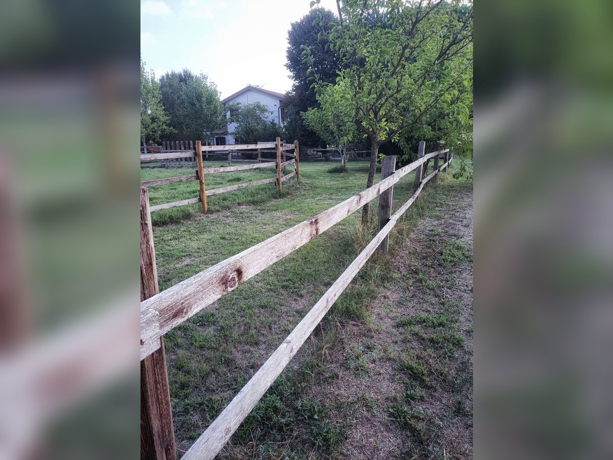 Equestrian property in Italy close to Po Delta Park and 30 minutes to the beach 