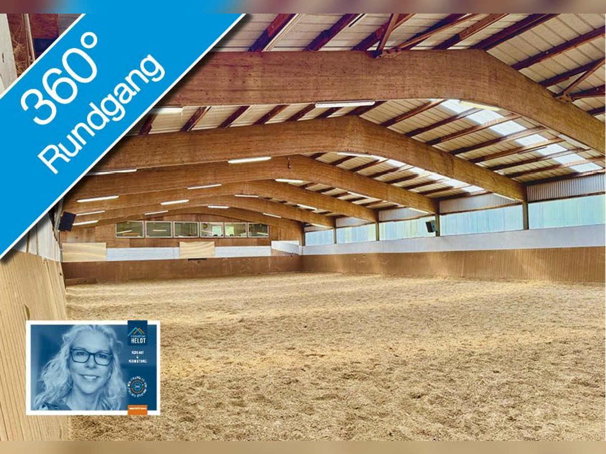 FREI // Reitanlage der kurzen Weg // Kiel, Ostsee // Halle, Führanlage // schnell erreichbar!