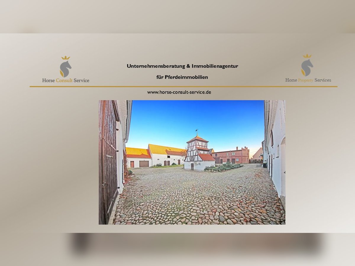 Pferdeimmobilie in Kemberg Kemberg