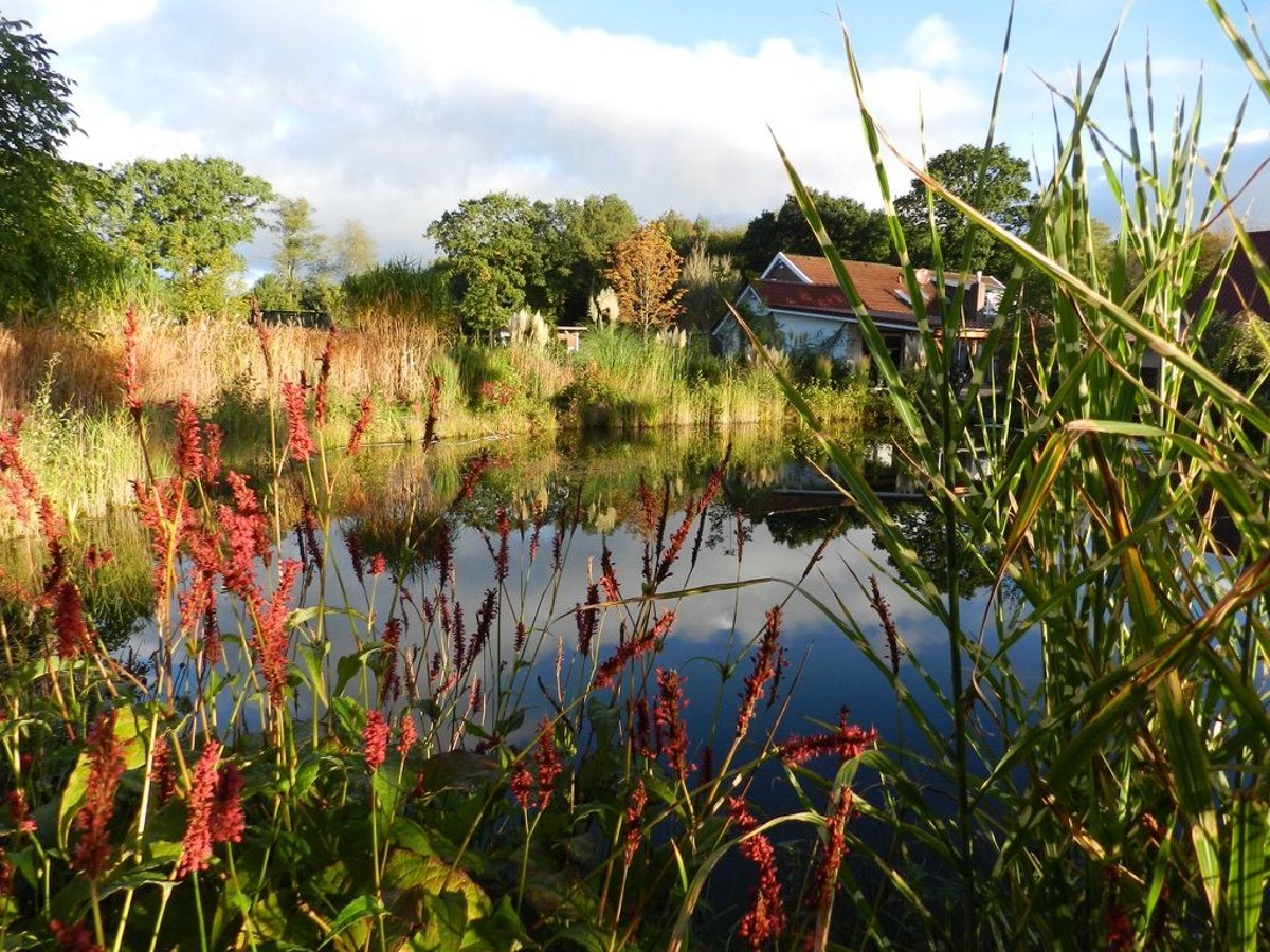 Pferdeimmobilie in Friedeburg Reepsholt Hoheesche