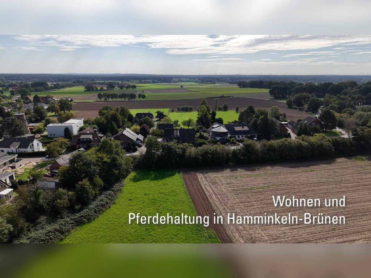 Pferdeimmobilie in Hamminkeln