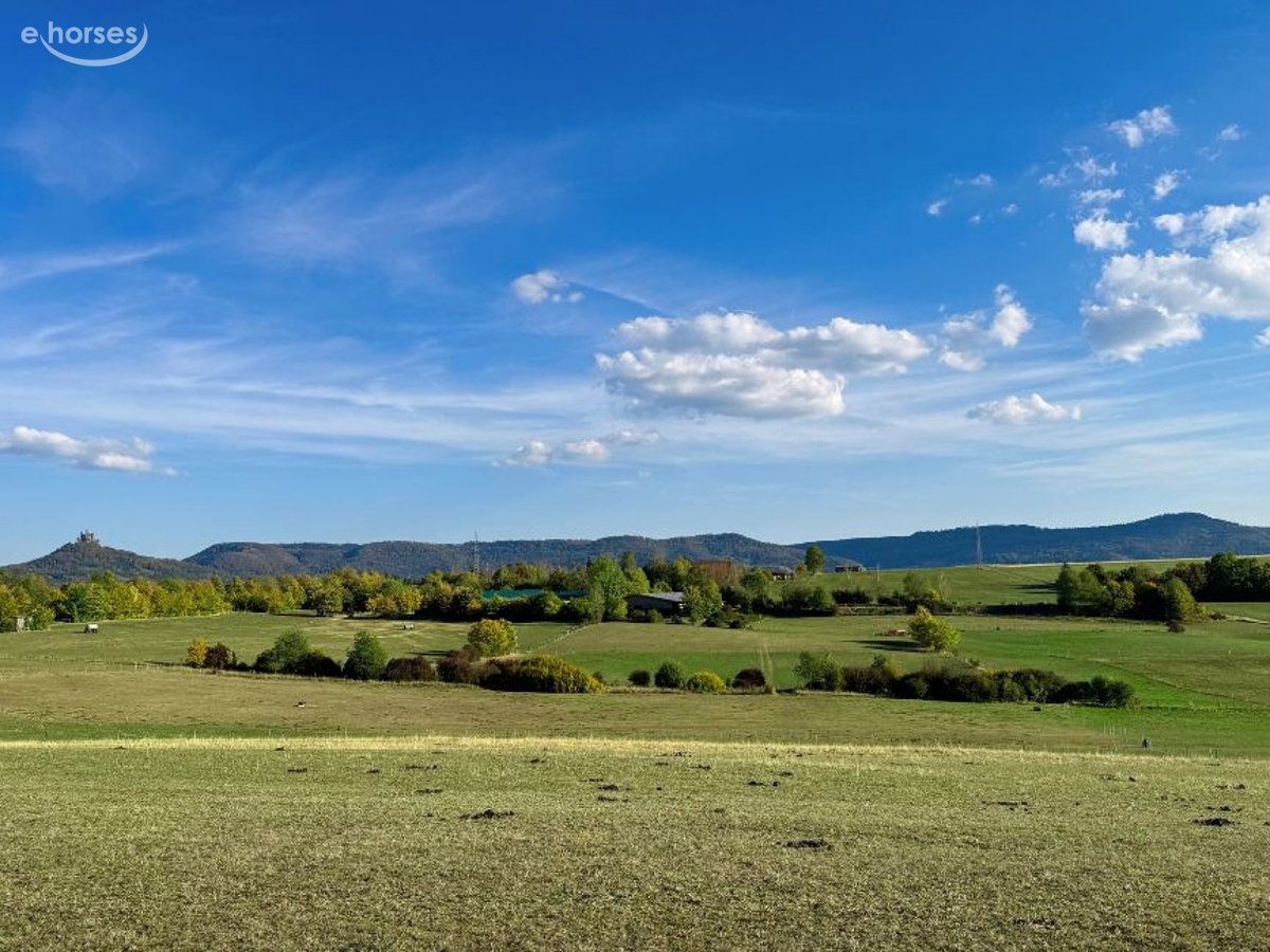 Pferdeimmobilie in Haigerloch