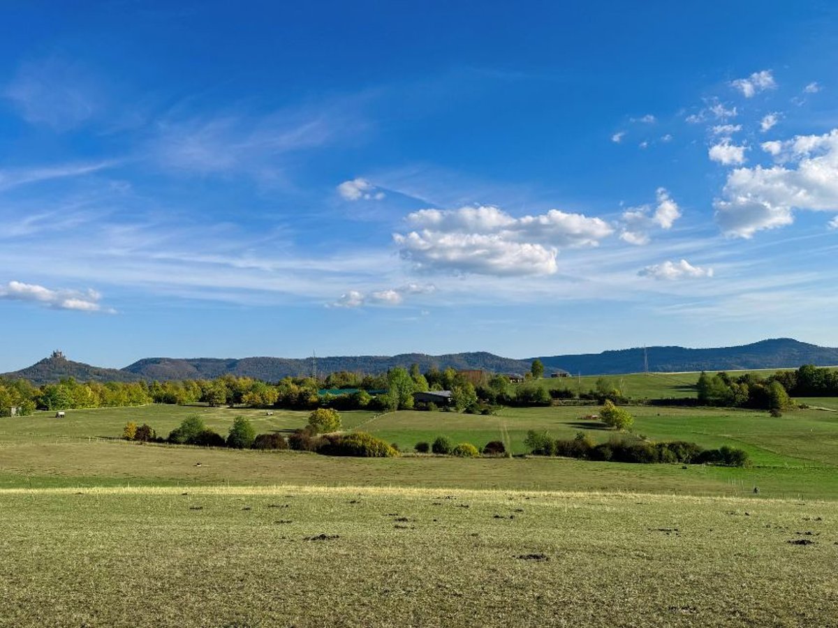 Landwirtschaft mit Reitanlage in traumhafter Lage V14466
