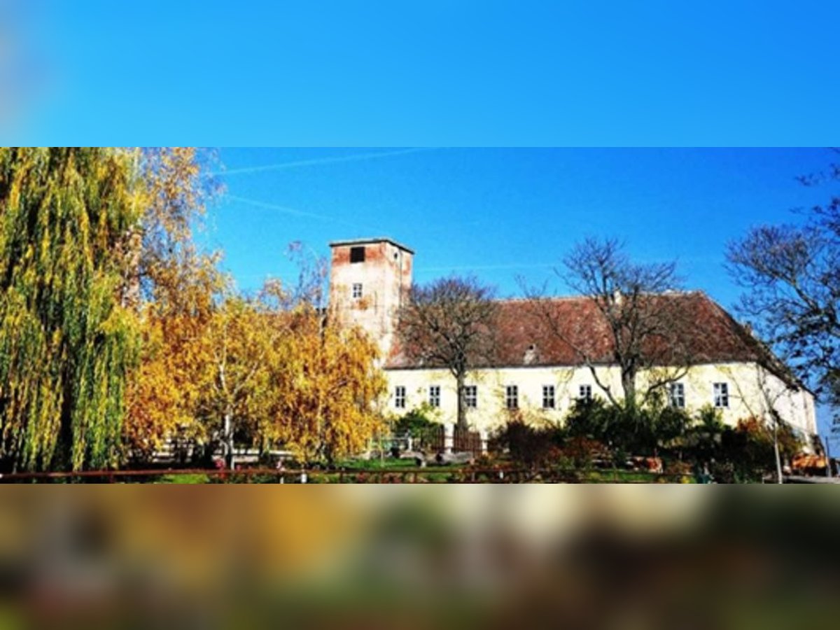 Reitgut Schloß Niedarabsdorf