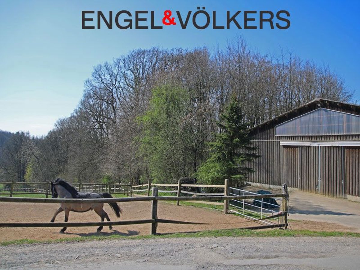 Reitsportanlage mit hochwertigem und modernem Einfamilienhaus und fünf Hektar Land