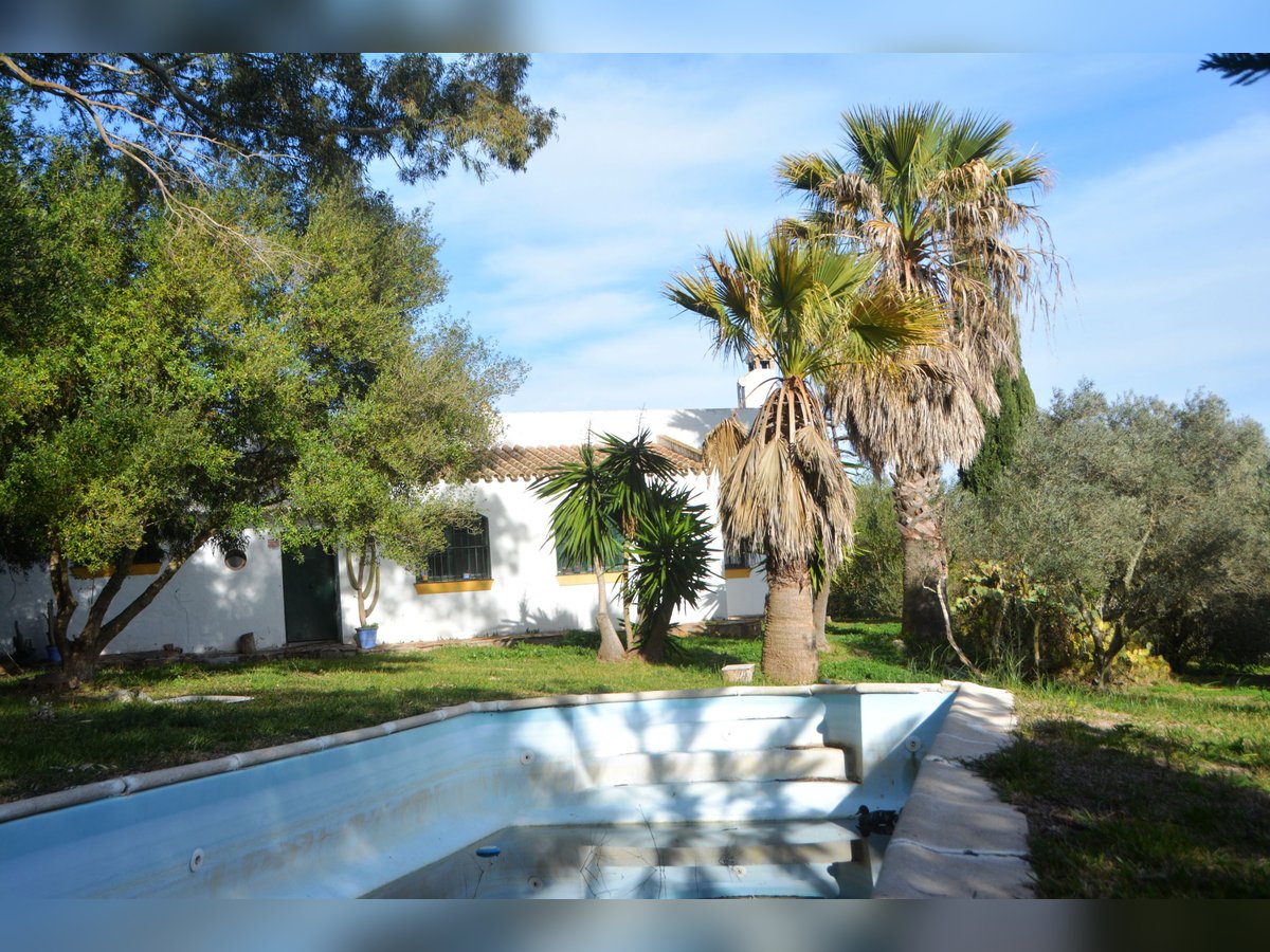 Ruhe pur - Finca in Vejer